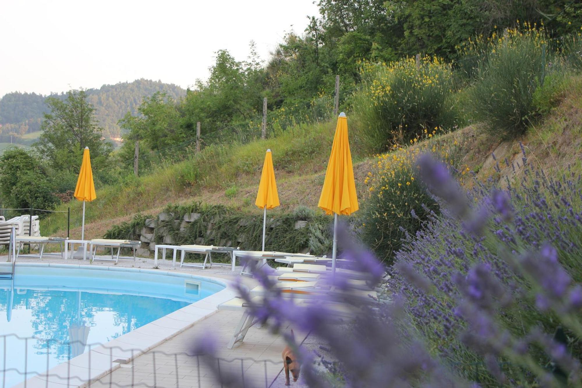 Agriturismo La Valle Del Vento Urbino Buitenkant foto