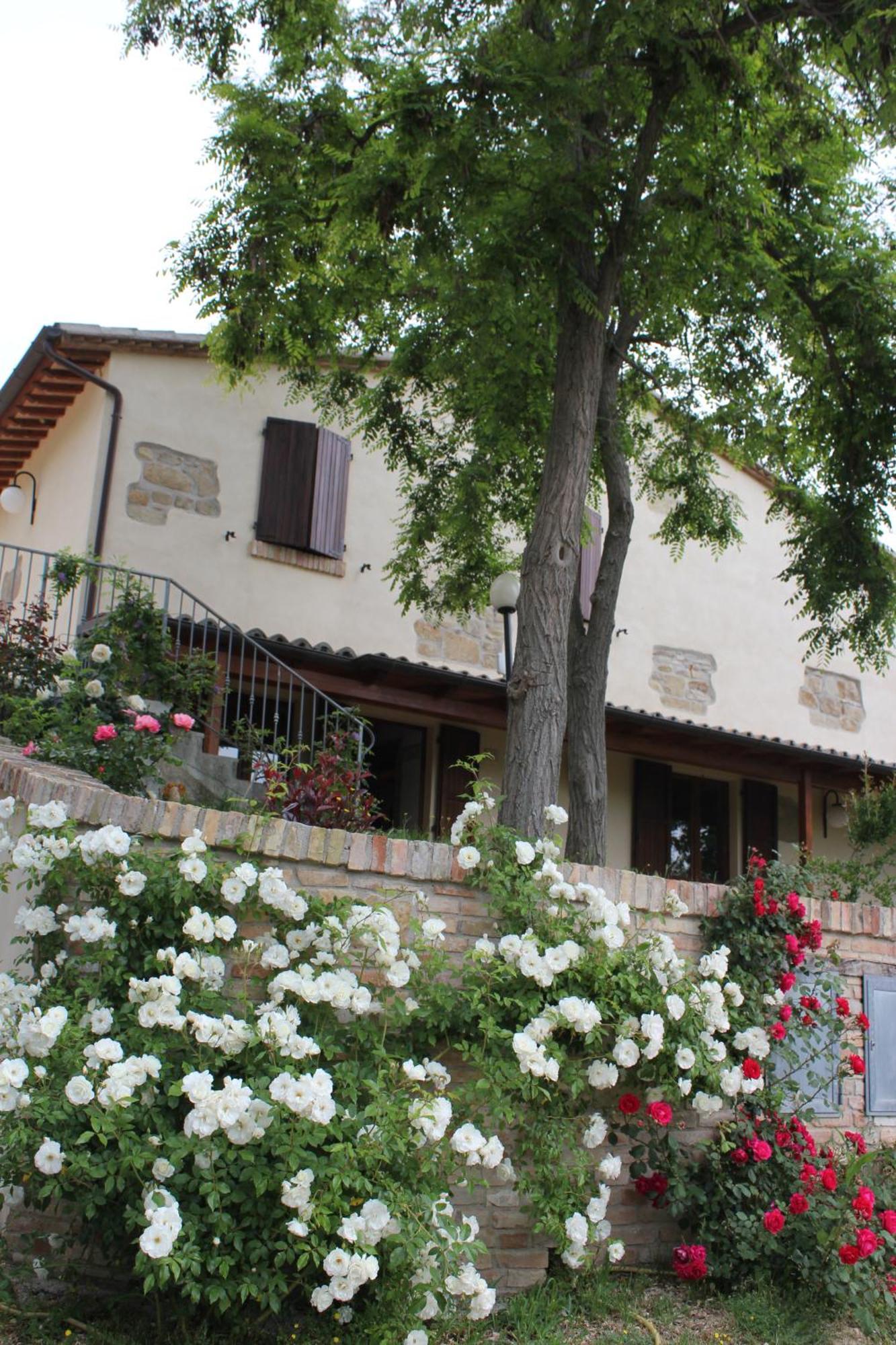 Agriturismo La Valle Del Vento Urbino Buitenkant foto